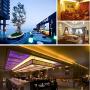 Tingkam 65.6 ft 20 M Waterproof 5050 SMD RGB LED Flexible Strip Light Black PCB Board Color Changing Decoration Lighting 150 LEDs Kit + 20 Key Remote Controller+ 6 A US Power Adapter