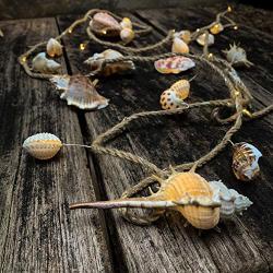 Natural Ocean Conch String Lights, TAMOYO Dedroom Decoration String Lights 8.5 FT 39 LEDs, Battery Operated Lights for Wedding, Birthday, Beach Themed Party, Bedroom, Summer Décor