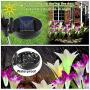 DasyFly Outdoor Solar Lights,3 Pack Solar Garden Lights Powered Waterproof Lights with 12 Lily Flowers,Solar Lights Outdoor Decorative for Garden,Patio,Backyard