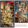 BOLTLINK Outdoor Christmas String Lights, Indoor Outside 300 LED 105ft Christmas Tree Fairy Twinkle Decorative Lights for Halloween Wedding Party Patio Garden Holiday, Warm White