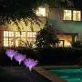 Neporal Solar-Garden-Lights-Outdoor-Decorative, Solar Flowers, 2 Pack Garden Lights Solar Powered IP65 Waterproof Solar Stake Lights Outdoor Decorative Garden Decor for Yard Patio Garden Pathway(Pink Neporal Solar-Garden-Lights-Outdoor-Decorative, Solar Flowers, 2 Pack Garden Lights Solar Powered IP65 Waterproof Solar Stake Lights Outdoor Decorative Garden Decor for Yard Patio Garden Pathway(Pink