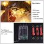 WesGen Christmas Lights，Snowflake String Lights Battery Operated Waterproof 20ft, 40 LED Fairy Lights for Xmas Garden Patio Bedroom Party Decor Christmas Decorations,Warm White