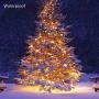 Koopower [ 2 Pack ] 50 LED Outdoor [Timer] Battery Fairy Lights on 5M String Cable - (8 Modes, 120 Hours of Lighting, Warm White)