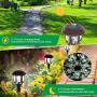 Solar Lights Outdoor Decorative, Pathway Solar Lights Outdoor Waterproof 10 Solar Path Lights Christmas Solar Path Lights Landscape Lighting for Garden Driveway Yard Patio Walkway-Cool White