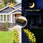 Outdoor Solar Garden Stake Lights,Upgraded LED Solar Powered Light with 6 Rose Flowers, Waterproof Solar Decorative Lights for Patio Pathway Courtyard Garden Lawn(Yellow)