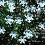 Christmas Snowflake String Lights, MQ 23 ft 50LEDs Snowflake Lights Decorations Waterproof Solar Powered 8 Modes String Lights for Christmas Indoor Outdoor Garden Lawn Home Party Decor