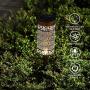 Solar Lights Outdoor Decorative for Pathway Walkway Sidewalk Lawn, Solar Powered Garden Yard Stake Lights. 10 Lumens Bright. Set of 4.