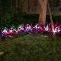 Solar Garden Decorative Lights Outdoor,2 Pack Beautiful LED Solar Powered Fairy Landscape Tree Lights,Two Mode Flower Lights for Pathway Patio Yard Deck Walkway Christmas Decoration