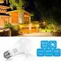 Amber Yellow LED Bug Light Bulb,ProPOW 7W Dusk to Dawn Bug Bulbs 40W Equivalent A19 Auto on/Off LED Bulbs Outdoor Bug Lights 580 Lumens Porch Lights(Non-Dimmable,E26,2200K,2 Pack)