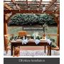 Brightech Ambience Pro Solar - 27 Ft Edison Bulb Outdoor String Lights - Hanging 2W LED Patio Lights Create Old Italian Market Look & Feel in Your Yard - Commercial Grade Waterproof & Weatherproof