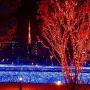 ER CHEN Fairy Lights Plug in, 99Ft/30M 300 LED Silver Coated Copper Wire Starry String Lights Outdoor/Indoor Decorative Lights for Bedroom, Patio, Garden, Party, Christmas Tree (Red)