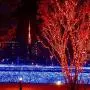 ER CHEN Fairy Lights Plug in, 99Ft/30M 300 LED Silver Coated Copper Wire Starry String Lights Outdoor/Indoor Decorative Lights for Bedroom, Patio, Garden, Party, Christmas Tree (Red)
