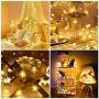 ANJAYLIA Star String Lights for Bedroom 20Ft 40LED with Remote, Waterproof 8 Modes Battery Powered Warm White Fairy Lights for Christmas Birthday Wedding Indoor