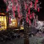 VMANOO LED Outdoor Lights 8 Tube Meteor Shower Rain Lights Solar Powered Icicle Raindrop Snow Falling Lights Cascading Lighting for Garden Outdoor Patio Holiday Party Halloween Decoration Red