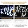 Silvom White Christmas Lights, 100 LED Tree Lights, 33ft Xmas Christmas Lights, 120V UL Certified Indoor & Outdoor String Lights for Christmas, Party, Wedding, Patio, Garden, Fence, Holiday Decoration