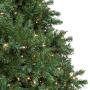 UL Certified 66 Feet 200 Count Clear Christmas String Lights, Pack of 2 Sets 33 Ft 100 Count Commercial Grade Lights Set, Connectable Decor Lights for Patio Garden Wedding Holiday (Clear - Green Wire)