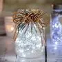 Ehome Fairy String Lights, 12 Pack Fairy Lights Battery Operated, 7.2ft 20LED Christmas Lights Silver Coated Copper Wire Lights Firefly Lights Moon Lights for Party Christmas Decorations White