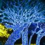 Twinkle Star 66FT 200 LED Indoor Fairy String Lights, Plug in String Light 8 Modes Waterproof for Outdoor Christmas Wedding Party Bedroom Decorations (Blue)