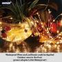 HXWEIYE Fairy String Lights-2 Pack, 100LED 33FT Copper Wire Lights USB Powered Hanging for Bedroom , Warm White, Waterproof Firefly String Light for Indoor Outdoor DIY Wedding Party