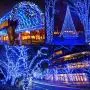 EMITEVER String Lights Indoor/Outdoor - Waterproof Ultrabright & Safe - 8 Modes Twinkle Lights 115FT 300LED, UL Plug in Christmas String Lights for Bedroom (Blue) EMITEVER String Lights Indoor/Outdoor - Waterproof Ultrabright & Safe - 8 Modes Twinkle Lights 115FT 300LED, UL Plug in Christmas String Lights for Bedroom (Blue)