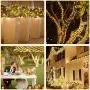 Elegear Led Christmas String Lights, 33FT 100LEDs Decorative Indoor/Outdoor 8 Mode Ultra Bright Twinkle Fairy Lights for Christmas Tree, Bedroom, Garden, Party, Wedding- Warm White, UL588 Approved