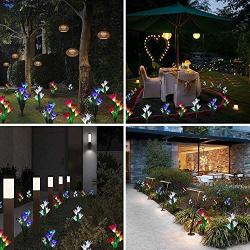 Outdoor Solar Garden Stake Lights, 3Pack Lily Flower Lights Waterproof Solar Landscape Lights, Outdoor Decoration Lights for Garden, Patio, Backyard