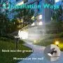 AMORNO Solar Landscape Spotlights, IP65 Waterproof 30 Leds Outdoor Solar Powered Lights Adjustable Ground Wall Lighting for Lawn Yard Patio Garden Porch Pathway Walkway-Cold White AMORNO Solar Landscape Spotlights, IP65 Waterproof 30 Leds Outdoor Solar Powered Lights Adjustable Ground Wall Lighting for Lawn Yard Patio Garden Porch Pathway Walkway-Cold White