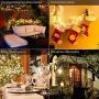 kolpop Solar String Lights 2Pack 240LED Total Solar Powered Fairy Lights Outdoor 8 Modes Copper Wire Decoration Christmas Lights Waterproof for Garden Yard Camping Patio Trees Party Deco(Warm White) …