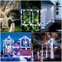 99Ft LED Rope Lights Outdoor, 500 LEDs Fairy String Lights Plug in 8 Modes, Dimmable, Super Durable, Waterproof String Lights Outdoor Indoor for Patio Wedding Christmas (Daylight White)