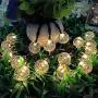 Garden Solar String Lights Outdoor, TASMOR 50 LED Globe Bulb String Lights with Remote 23FT Waterproof 8 Modes Fairy Lights Crystal Balls Decorative Lighting for Patio, Backyard, Home (Warm White)