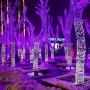 Home Lighting 66ft Christmas Decorative Mini Lights, 200 LED Green Wire Fairy Starry String Lights Plug in, 8 Lighting Modes, for Indoor Outdoor Xmas Tree Wedding Party Decoration (Purple)