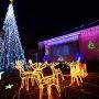 Solar Rope Lights Outdoor,Solar String Lights,Clear Tube LED Rope Light,Contain 2 Pack 65.6Ft 200 LED Light,Waterproof Solar Fairy Lights for Garden,Fence,Yard,Party,Christmas Tree Decoration