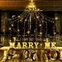 Ankway Solar String Lights Outdoor, 8 Lighting Modes Waterfall Christmas Fairy Lights with Star Outside Tree Wall Decorations for Yard, Garden, New Year, Holiday, Birthday, Wedding, Party (Solar)
