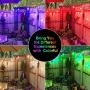 2-Pack 48FT Outdoor RGB String Lights, Cafe Color LED String Light with 30+5 E26 Shatterproof Edison Bulb Dimmable, Colorful Commercial Light String for Patio Backyard Christmas Party, 2 Remote, 96FT