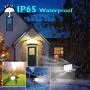 AMORNO Solar Landscape Spotlights, IP65 Waterproof 30 Leds Outdoor Solar Powered Lights Adjustable Ground Wall Lighting for Lawn Yard Patio Garden Porch Pathway Walkway-Cold White AMORNO Solar Landscape Spotlights, IP65 Waterproof 30 Leds Outdoor Solar Powered Lights Adjustable Ground Wall Lighting for Lawn Yard Patio Garden Porch Pathway Walkway-Cold White