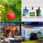 Teenitor 100 Pack Curtain Clips Stainless Steel Light Hanger Hooks Christmas Party Decor Supplies for Camp Tent Photo Display Indoor and Outdoor Decoration