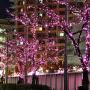 Christmas String Lights, FULLBELL 33ft 100 LEDs with Controller Fairy Twinkle Lights Decoration for Chirstmas Tree,Garden,Multi Stings Connectable(Transparent Wire)(Pink)
