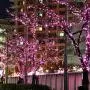 Christmas String Lights, FULLBELL 33ft 100 LEDs with Controller Fairy Twinkle Lights Decoration for Chirstmas Tree,Garden,Multi Stings Connectable(Transparent Wire)(Pink)