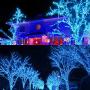 Twinkle Star 66FT 200 LED Indoor Fairy String Lights, Plug in String Light 8 Modes Waterproof for Outdoor Christmas Wedding Party Bedroom Decorations (Blue)