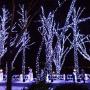 Jiamao 2 Pack 42.7ft 100 LED Solar Christmas Light 8 Modes Waterproof Solar String Light Outdoor Solar Fairy String Lights for Garden,Wedding,Party, Patio,Christmas Decoration (White)