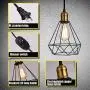 LIGHTESS Plug in Pendant Lights with Dimmer Switch, Industrial Black & Copper Dimmable Hanging Wire Cage Light Fixture for Kitchen Dining Room, LG9925342