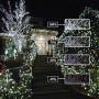 Ollny LED String Lights 800 LED 330FT Long Christmas Light with Remote,8 Modes&Timer Cool White Lights Fairy Lights Plug in Twinkle Lights for Wedding Party Christmas Decoration Outdoor Room Indoor