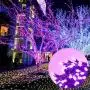 Twinkle Star 66FT 200 LED Indoor String Lights, Plug in String Light 8 Modes Waterproof for Outdoor Halloween Party Christmas Wedding Bedroom Decorations (Purple) Twinkle Star 66FT 200 LED Indoor String Lights, Plug in String Light 8 Modes Waterproof for Outdoor Halloween Party Christmas Wedding Bedroom Decorations (Purple)