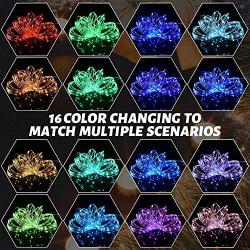 LED Rope Lights, 66ft 200 LED 16 Colors Changing Indoor Outdoor RGB String Lights, Multi-Colored Twinkle Tube Fairy Lights with Remote for Christmas Party, Wedding, Garden, Indoor Outdoor Decoration