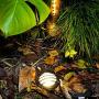 GOODSMANN LED Well Light Low Voltage Landscape Lighting In Ground Lights Outdoor Deck Light 4 Watt 200 Lumens for Garden Yard Pathway 9920-3500-01