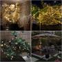 Flower String Lights, Remote Cherry Blossom String Lights ,16.4ft 50 LEDs USB or Battery Operated Fun Room Fairy Lights for All Weather, Wedding, Dorm, Girls Bedroom, Baby Carriage Decoration Flower String Lights, Remote Cherry Blossom String Lights ,16.4ft 50 LEDs USB or Battery Operated Fun Room Fairy Lights for All Weather, Wedding, Dorm, Girls Bedroom, Baby Carriage Decoration