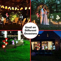 ONM Outdoor Solar Lights – Decorative Led Flowers for Patio and Garden – 3 pcs Solar Lilly Light with Iron Stakes – 12 Multi-Colored Changing Led Lights – Waterproof IP65 Solar Flowers with Butterfly