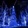 MAOKOT Solar String Lights, 72ft 1Pack 200 LED Solar Powered String Lights Outdoor, Waterproof 8 Modes LED Christmas Lights for Wedding Patio Garden Tree Party (Blue)