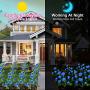 HeyMate Solar Garden Lights Outdoor 2 Pack Solar Blue Rose Flower Lights with 10 Rose Flowers Solar Christmas Decorative Lights Waterproof for Garden,Patio,Backyard,Pathway,Xmas Decorations