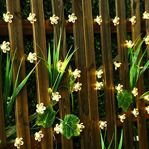 SKYFIRE Led Flower Fairy Lights，22ft 50 Led Blossom Solar Fairy Lights Solar Flower String Lights for Outdoor,Garden, Patio(Warm White)